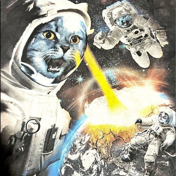🔥🐱 THE MOUNTAIN Brand SPACE KITTENS Amazing Huge Graphics - Not Vintage or AOP - Picture 3 of 8
